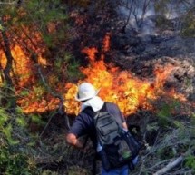 Пожар на Топаловом брду, једна особа погинула