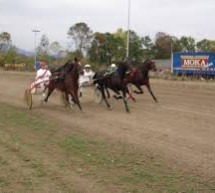 Konjičke trke u Preljini