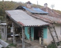 Корак по корак ка човеку