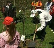 ЈП „Градско зеленило“ и млади еколози у акцији обнављања зелених површина у Чачку