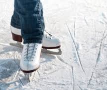 ПОЧИЊЕ ЗИМСКИ РАСПУСТ