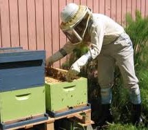 СУТРА ГОДИШЊА СЕДНИЦА УДРУЖЕЊА ПЧЕЛАРА ЧАЧАК