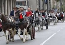 DEFILE KONJA I KONJSKIH ZAPREGA KROZ MILANOVAC