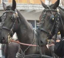 КОЊИМА КРОЗ ГОРЊИ МИЛАНОВАЦ