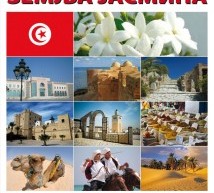 УПОЗНАЈТЕ ЗЕМЉУ ЈАСМИНА!