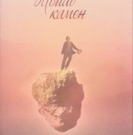 KNJIGA DOBITNICE „MLADOG DISA“ NA SAJMU KNJIGA