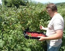 УПРАВА ЗА ЗАШТИТУ БИЉА – ЈАВНА РЕЧ, ПЕТАК, 26. ЈУН У 21:00