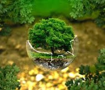 НЕДЕЉА ЖИВОТНЕ СРЕДИНЕ У ГОРЊЕМ МИЛАНОВЦУ