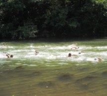 ILINDANSKI MARATON U OVČAR BANJI