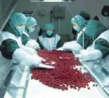 ПОЈАЧАНЕ КОНТРОЛЕ ХЛАДЊАЧА