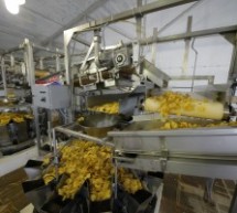 „Chips Way“ ИНВЕСТИРА ПРОИЗВОДЊУ