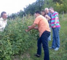 СУТРА У ДОМУ КУЛТУРЕ У ГУЧИ  ПРЕДАВАЊЕ О ЗНАЧАЈУ УДРУЖИВАЊА У ПОЉОПРИВРЕДИ И ПРИМЕНИ МИНЕРАЛНИХ ЂУБРИВА У ЗАСАДИМА МАЛИНЕ