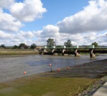 РОТВАЈЛЕРИ У ЦЕНТРУ ЧАЧКА ИЗУЈЕДАЛИ ЖЕНУ И ЊЕНОГ ПСА