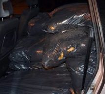 ПРИПАДНИЦИ МУП-а У ЧАЧКУ ЗАПЛЕНИЛИ 273 КГ РЕЗАНОГ ДУВАНА