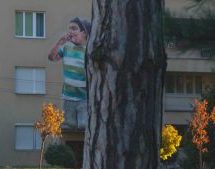 Дрво се ослања на дрво, а човек на човека